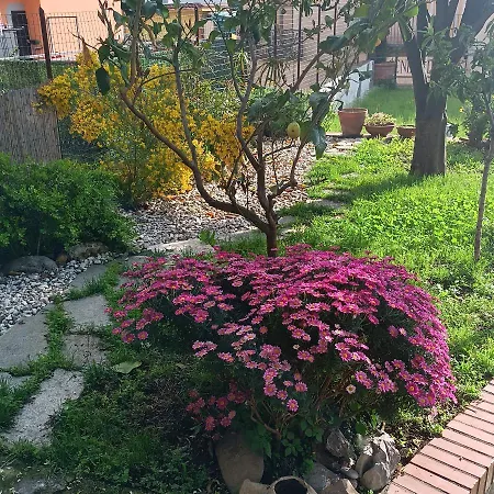 Ninfea Superior Appartement *