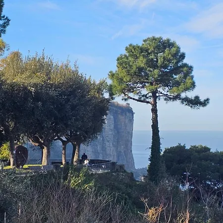 Ninfea Superior Vico Equense